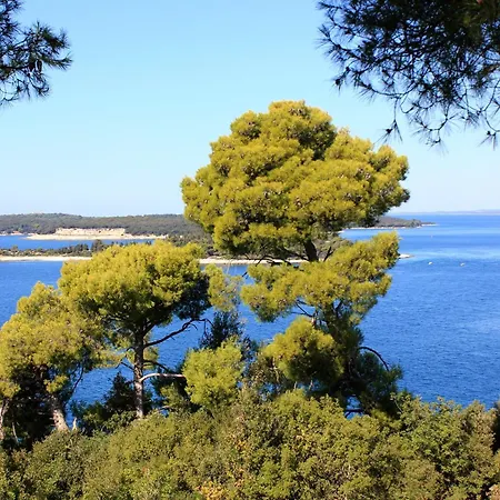 With Parking Space Stinjan, - 7368 Apartament Pula